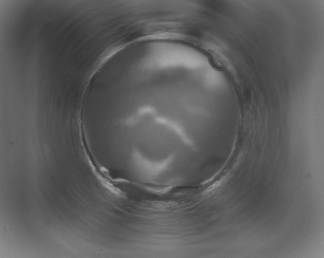 X0000075811425200609151135