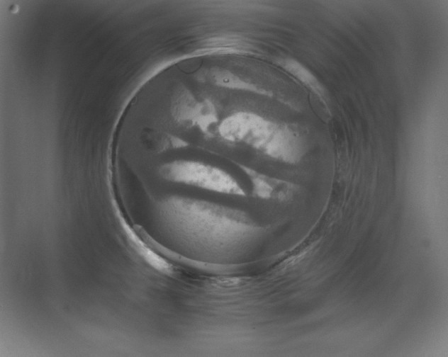 X0000075811431200609151135