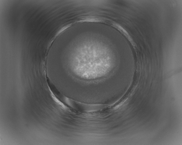 X0000075811433200609151135