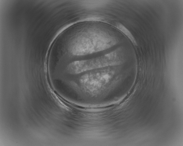 X0000075811436200609151135