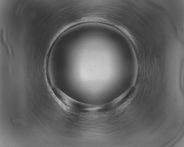 X0000075811438200609151135
