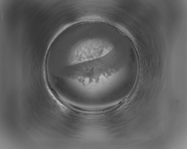 X0000075811440200609151135