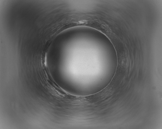 X0000075811442200609151134