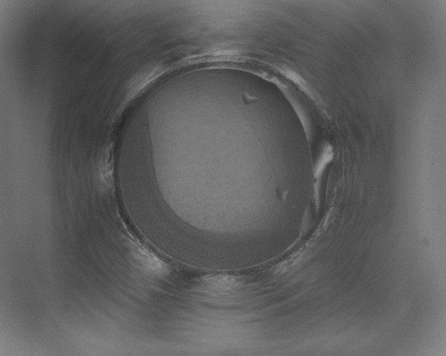 X0000075811450200609151134
