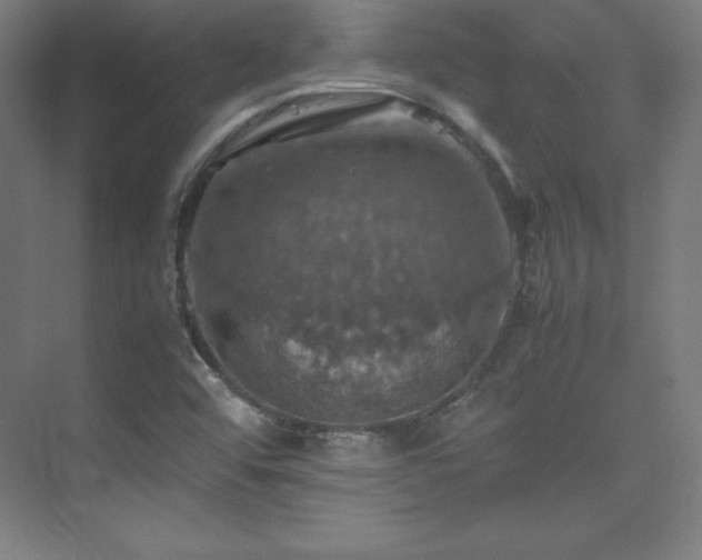 X0000075811456200609151134