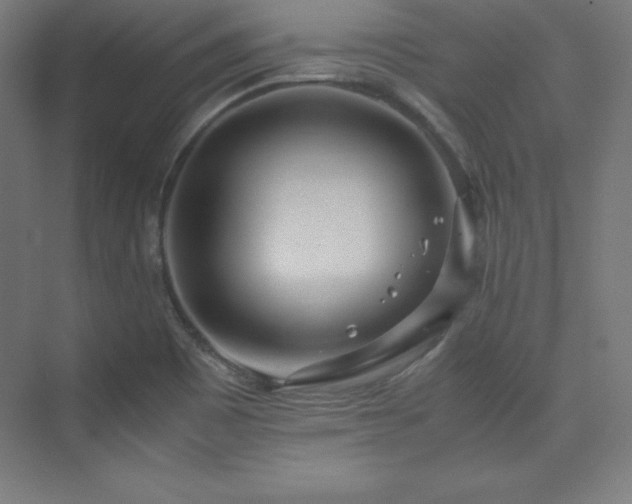 X0000075811465200609151134
