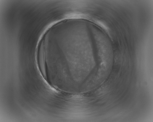 X0000075811472200609151134