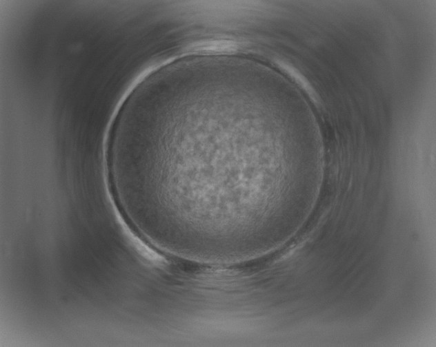 X0000075811475200609151134