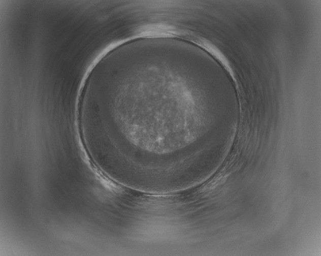 X0000075811488200609151133