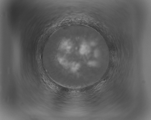 X0000075811489200609151133