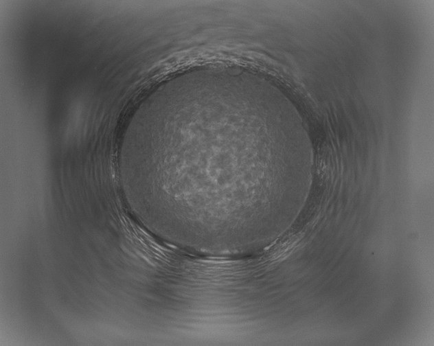 X0000075811490200609151133