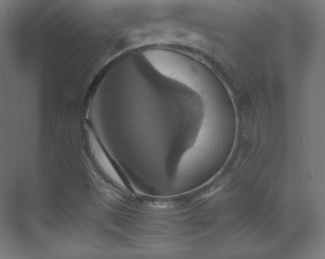 X0000075811497200609151133