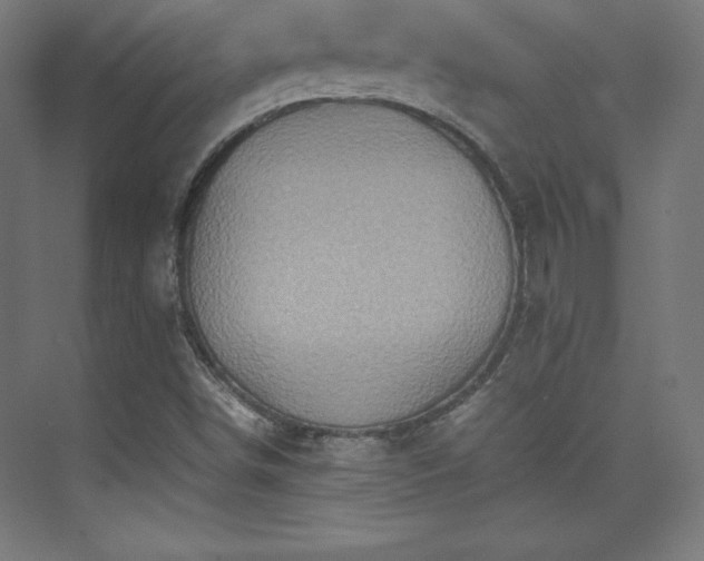 X0000075811498200609151133