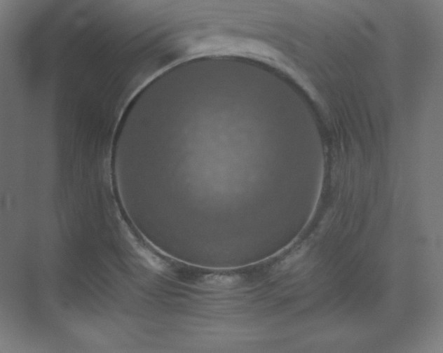 X0000075811513200609151133