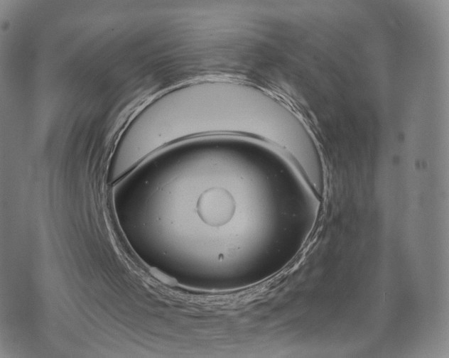 X0000075810001200609221320