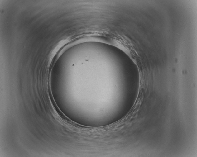 X0000075810003200609221320