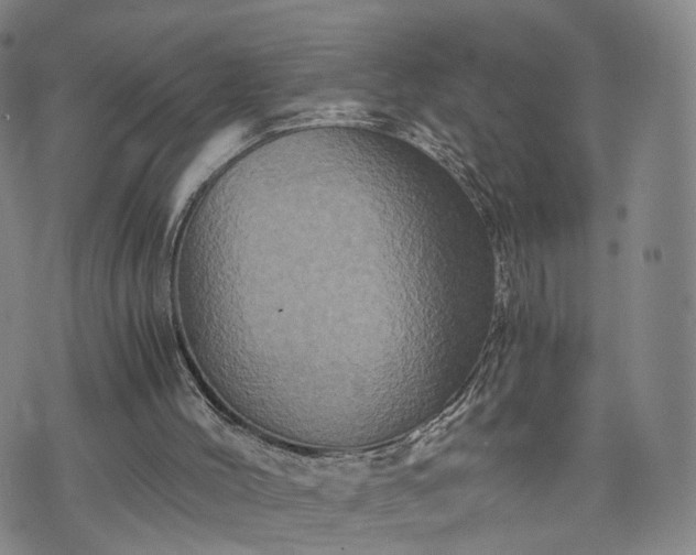 X0000075810004200609221320