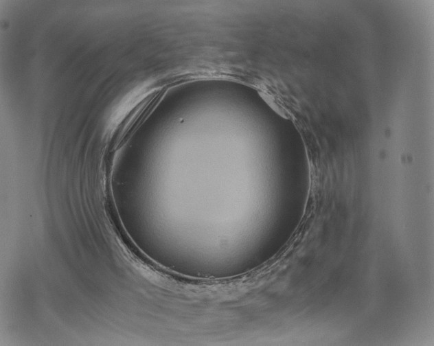 X0000075810005200609221320