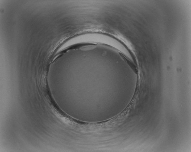 X0000075810009200609221320