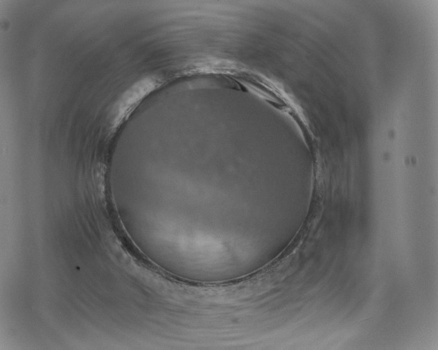 X0000075810010200609221320