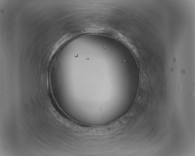 X0000075810011200609221320