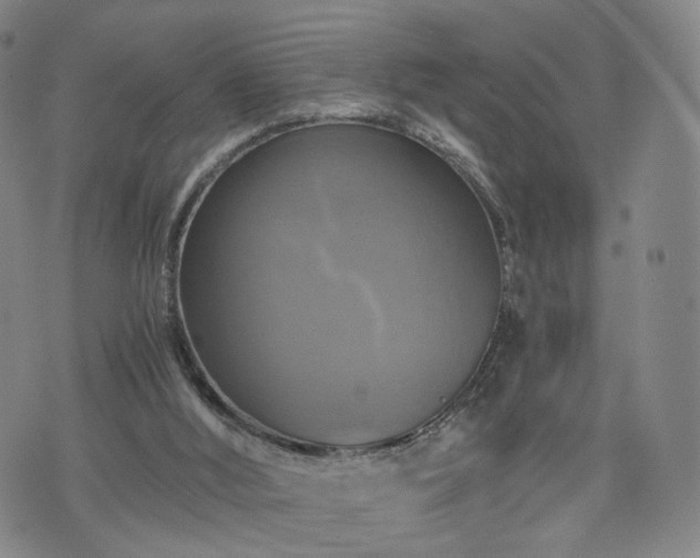 X0000075810012200609221320