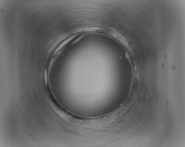 X0000075810013200609221320