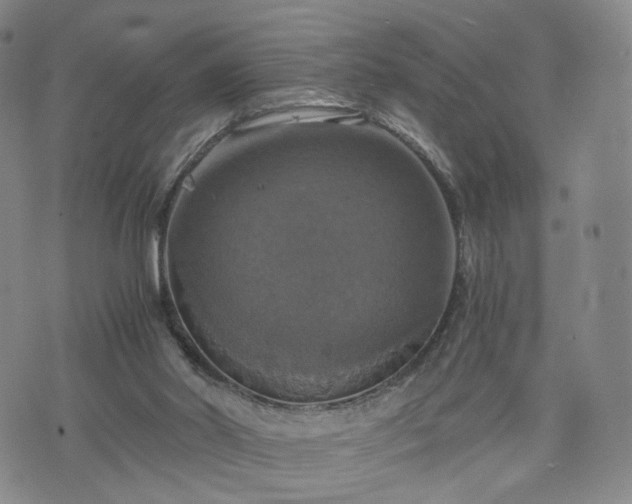 X0000075810014200609221320