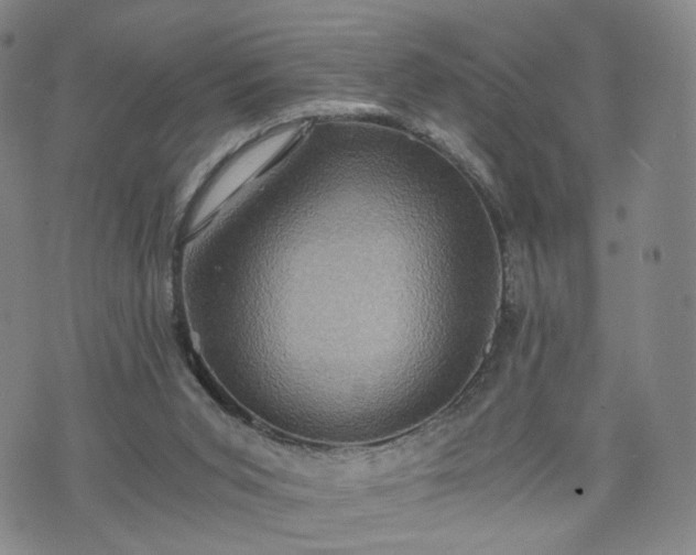 X0000075810015200609221320