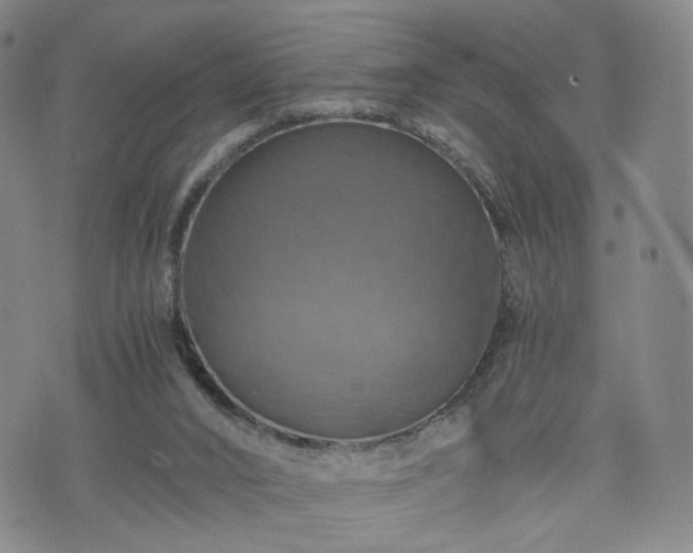 X0000075810016200609221320