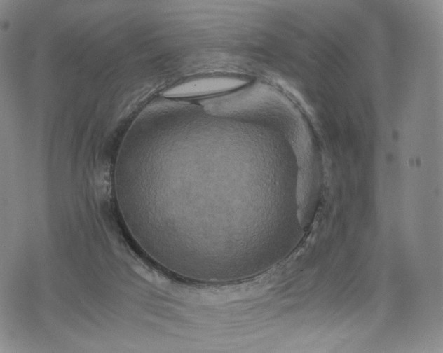 X0000075810017200609221320