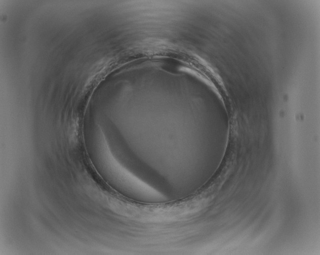 X0000075810018200609221320