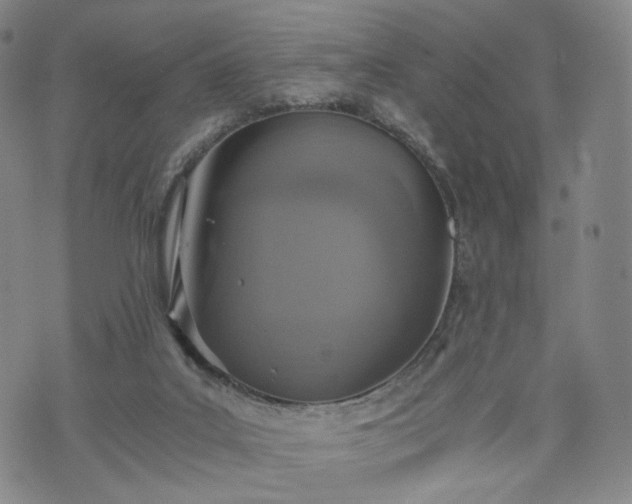 X0000075810019200609221320