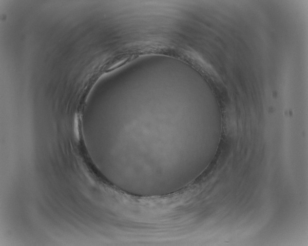 X0000075810022200609221320