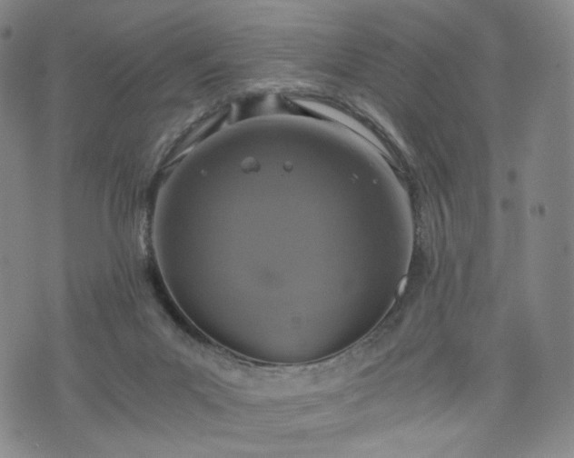 X0000075810023200609221320