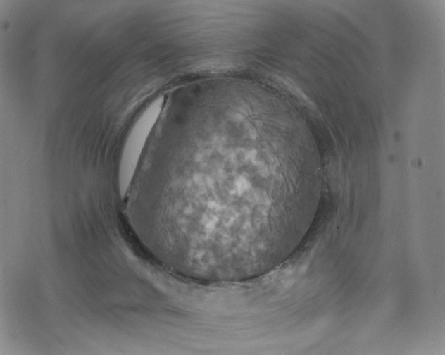 X0000075810024200609221320