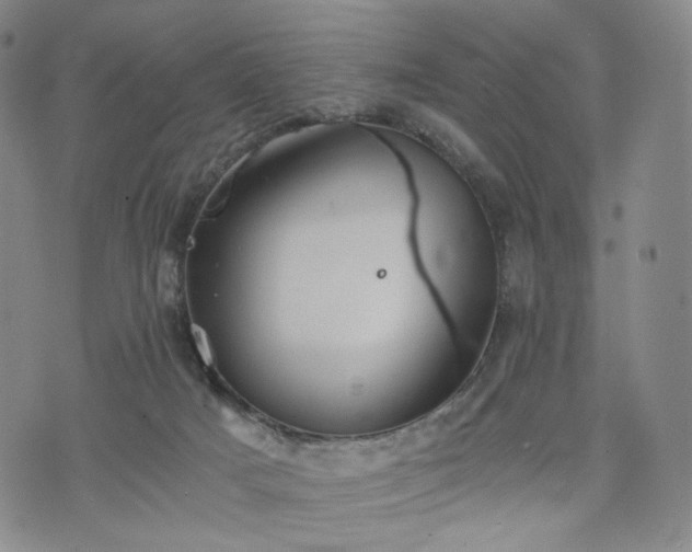 X0000075810025200609221320