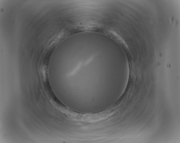 X0000075810026200609221320