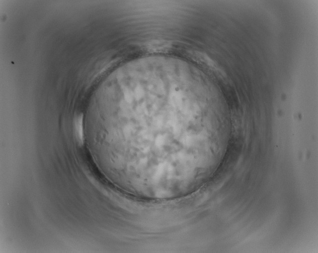 X0000075810028200609221320