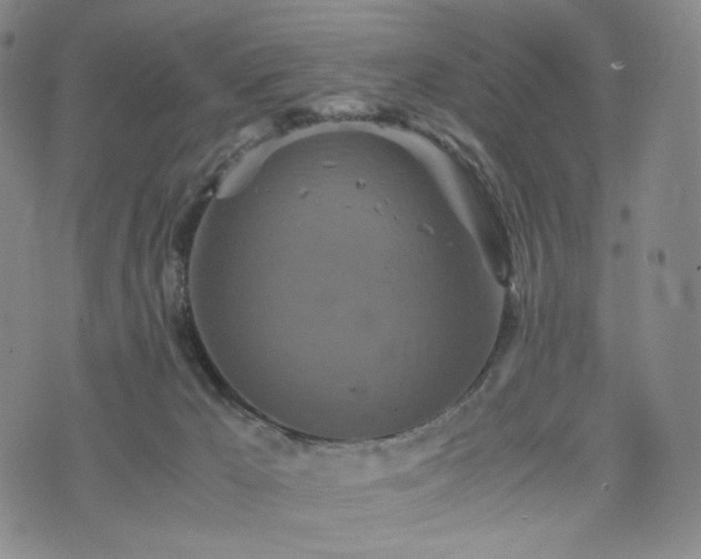 X0000075810029200609221320