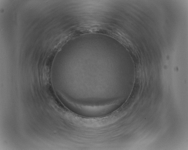 X0000075810030200609221320