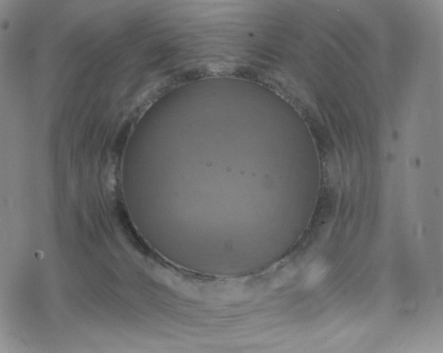 X0000075810032200609221320