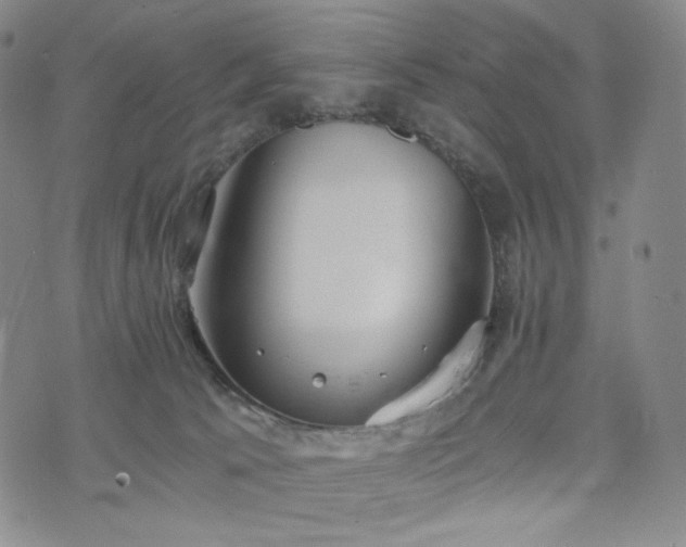 X0000075810033200609221320