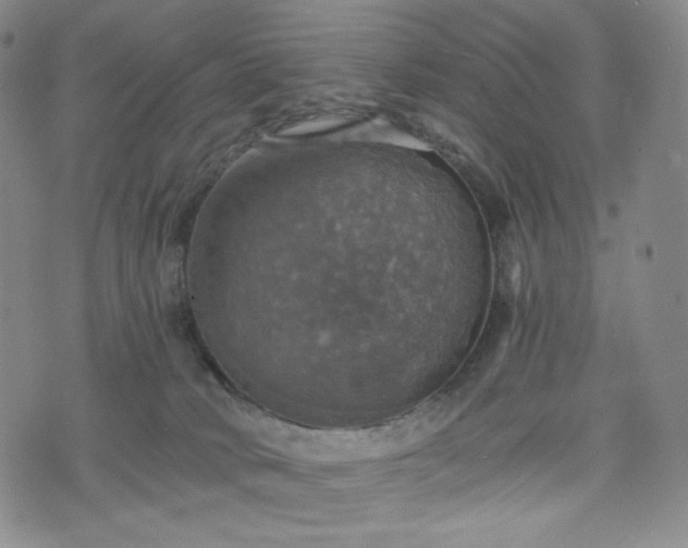 X0000075810034200609221320