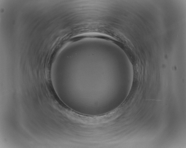 X0000075810035200609221320