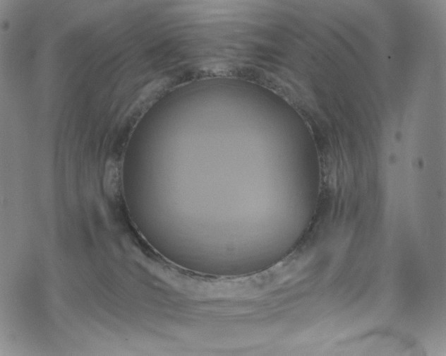 X0000075810036200609221319