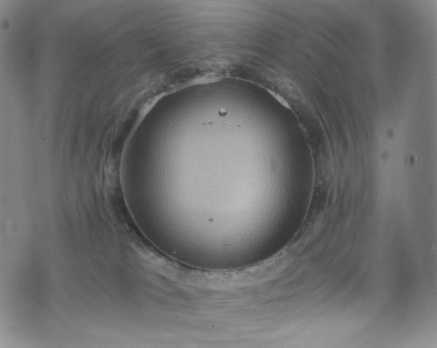 X0000075810037200609221319