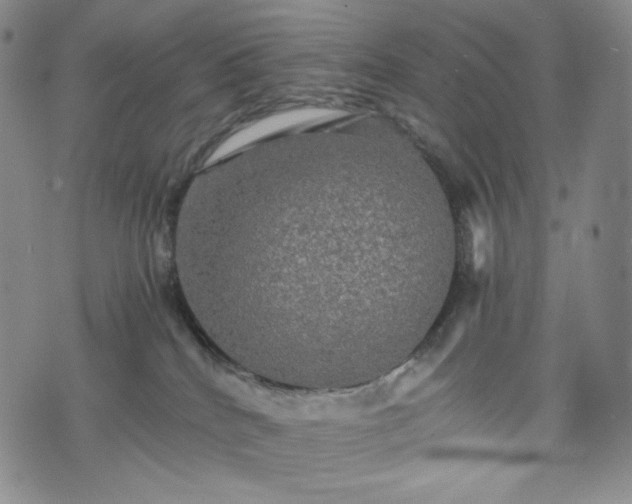 X0000075810040200609221319