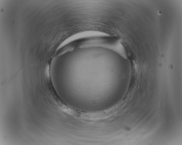 X0000075810041200609221319