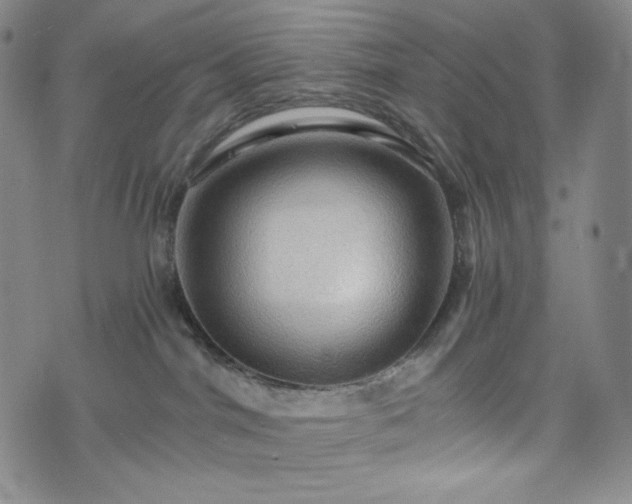 X0000075810044200609221319